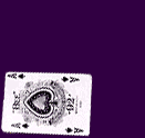 Install Punta Casino