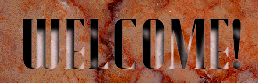 Welcome to My Web Site