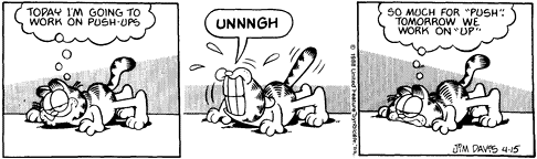 /user/strip5.gif