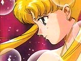 /user/usagi2.jpg
