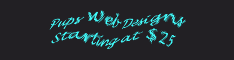 Custom Banner