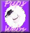 Email Pups Web Designs