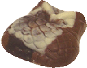 Amond florentine in a marled chocolate owl mould