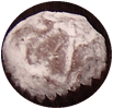 Creamy champagne centre dusted withicing sugar