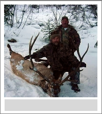 Oddie Graves Elk.