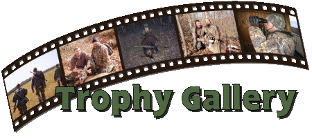 Trophy Gallery
