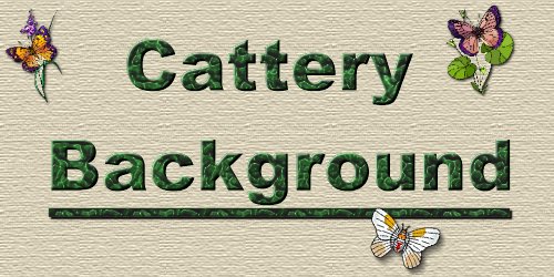 Cattery Background