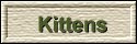 Kittens Available