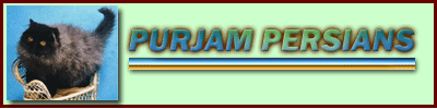 RW,GC Purjam's Midnight In Montgomery, 99-00