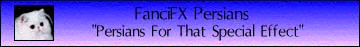 Link to FanciFX Persians