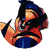 MSHvsSF Wolverine