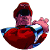 XMvsSF Bison/Vega