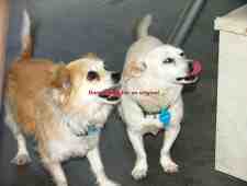 Jimmy, Samantha