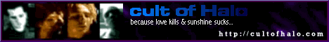 cult of halo banner