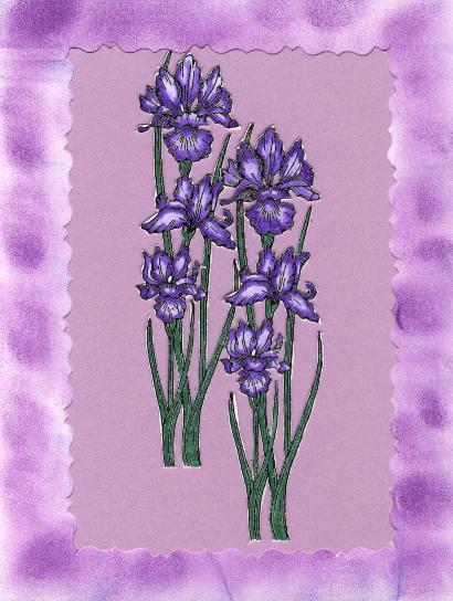 /user/irises.JPG