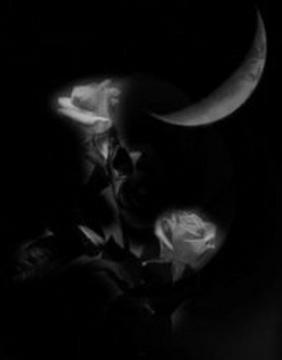 POEMS & THOUGHTS