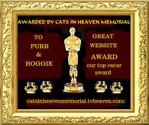 Top Oscar Award 
 - 5/4/2002