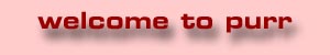 click to enter purr