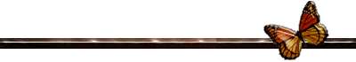 Diario Accion de General Rodriguez, politica, actualidad, noticias e informacion, personalidades e instituciones, policiales, galerias de fotos; historia de General Rodriguez, sus origenes, edificios, estancias, habitos y costumbres, anecdotas, comercios e industrias, los fundadores, antiguas instituciones, fotos e imagenes; suplementos especiales: la crisis politica, economica y social de la Argentina, los acontecimientos de Diciembre de 2001, articulos y entrevistas; Emigracion: toda la informacion destinada a aquellos que desean emigrar, radicarse o estudiar en el exterior, visas, pasaportes, consejos, guias, informacion util, links; Trueque: novedades e informacion, links, estructura del trueque; el casamiento de Maxima Zorreguieta y el principe Guillermo Alejandro de Holanda; Guerra de Afganistan: galeria de imagenes e informacion sobre la primera guerra del siglo XXI; el atentado a las torres Gemelas de Nueva York y dscripcion del hecho que conmovio al mundo; Empleo: consultoras, clasificados, agencias de empleo, consejos e informacion util, curriculum vitae, como confeccionarlos, noticias de actualidad; 
Los numeros de la crisis: Las consecuencias de la crisis politica, economica y social; estadisticas, pobreza, desnutricion, salud y asistencia; noticias regionales y provinciales, columnas y editoriales; informacion para negocios: pymes, links, empresas y negocios; Agenda Cultural con toda la informacion de cursos, universidades, talleres, escuelas y oportunidades, exposiciones de arte de la region; buscadores en Internet, Enlaces: links a los mejores sitios de educacion, cultura, arte, biografias, politica, interes general, web, Links del Diario Accion: RMS Titanic, su historia, su tragico viaje inaugural; historias, testimonios, documentos y articulos sobre el naufragio; links y sitios sobre el tema; la pelicula de Cameron, fotos e imagenes; suplementos especiales, Historia Argentina y de General Rodriguez, la llegada de la democracia en General Rodriguez, la asuncion de Juan Lumbreras como intendente en 1983, galeria de imagenes, sus palabras y los actos, su gabinete, festejos de la comunidad. Fundacion del pueblo de General Rodriguez, sus instituciones y personalidades relevantes, arquitectura y edificios, comercios e industrias, sus comienzos, estancias, inmigraciones italianas, espa�olas, vascas e irlandesas, anecdotas y efemerides, sus hombres ilustres, el Hospital Vicente Lopez y Planes, su fundacion por las Damas de Beneficencia, el hundimiento del crucero General Belgrano, testimonios de ex combatientes y tripulantes, su comandante Hector Elias Bonzo, fotos e imagenes, recuerdos y homenajes, historia de la familia Bonzo de General Rodriguez, entrevistas y articulos periodisticos. La guerra de Malvinas en el Atlantico Sur, el conflicto belico con Gran Breta�a de 1982, politicos relevantes, Benjamin Paez y Trueba, fotos antiguas de familias fundadoras, galerias de imagenes de pobladores, recorrida virtual por el antiguo General Rodriguez, el paso de la Infanta en 1910, historia de La Serenisima, la familia Mastellone, La Choza, Bernardo de Irigoyen, peronismo y radicalismo y muchisimo mas