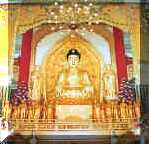 �j���_��