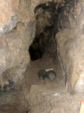 Tunnel ... too small to even crawl through