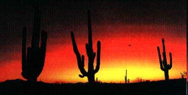 THE GRAND CANYON STATE