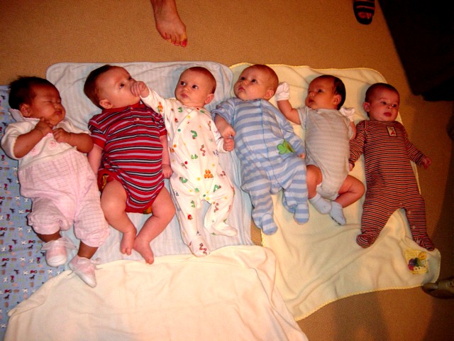6 Babies in a Row!