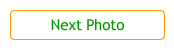 next_photo