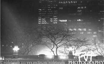 Night Trees
