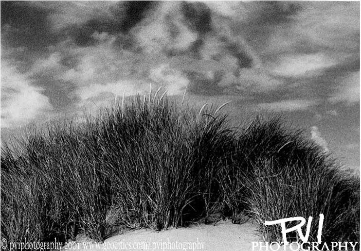 Nature Photos
