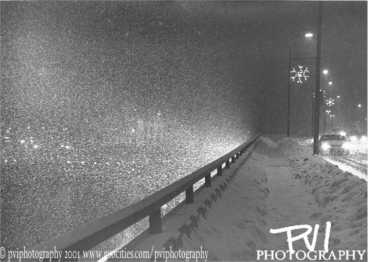 Snowy Road