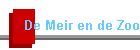 De Meir en de Zoo