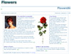 flowers104.jpg - 4018 Bytes