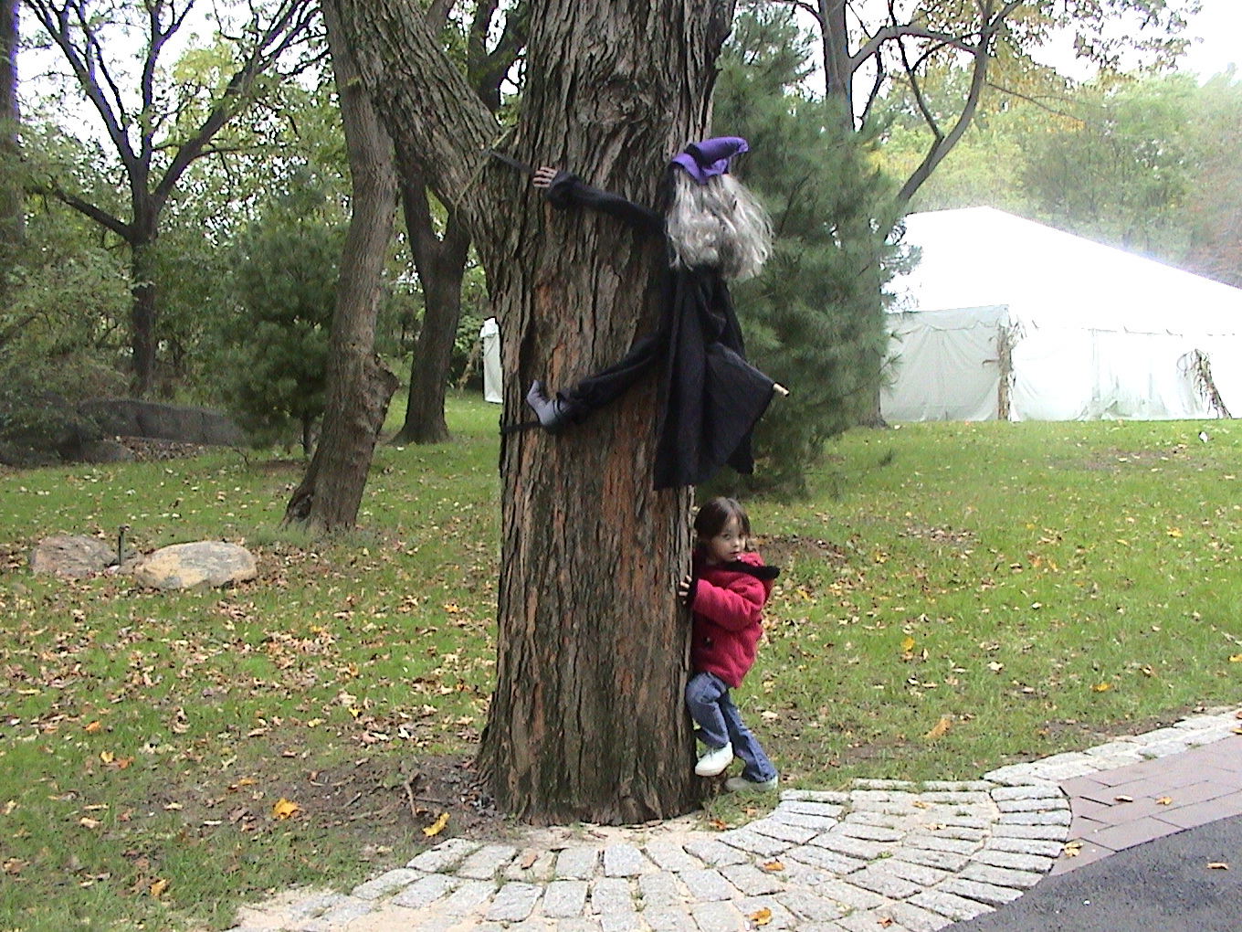 Danielle chasing a witch in the Bronx zoo