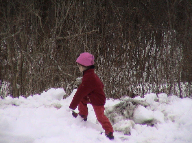 Snowballs fight!