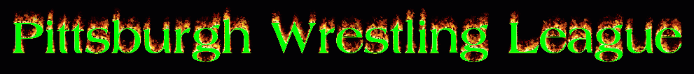 Welcome To INDY WRESTLING.NET