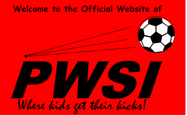 PWSI Website