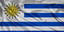FLAG/144.jpg