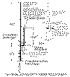 1adjpol.gif (13491 bytes)