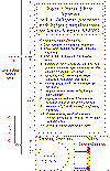 3iii.gif (13671 bytes)