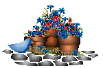 /user/birdpot2.gif