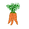 /user/carrots1.gif