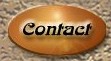 E-mail Us for any Queries