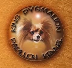 Kennel