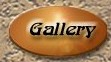 Collection of Photos