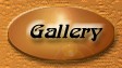 Collection of Photos
