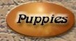 New Born Puppies and Puppies for Sale