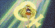 Venus Star Power