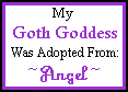 click to visit Angel's adoptions