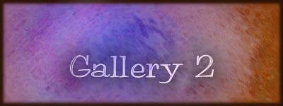 gallery 2